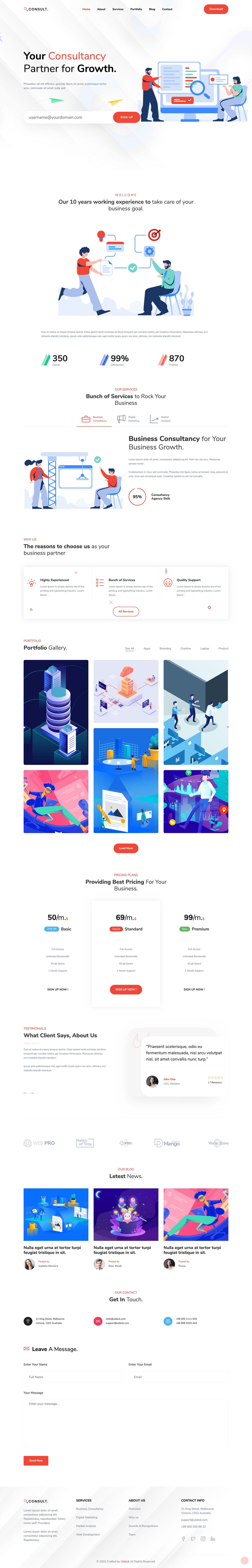 Consult Lite Website Screenshot