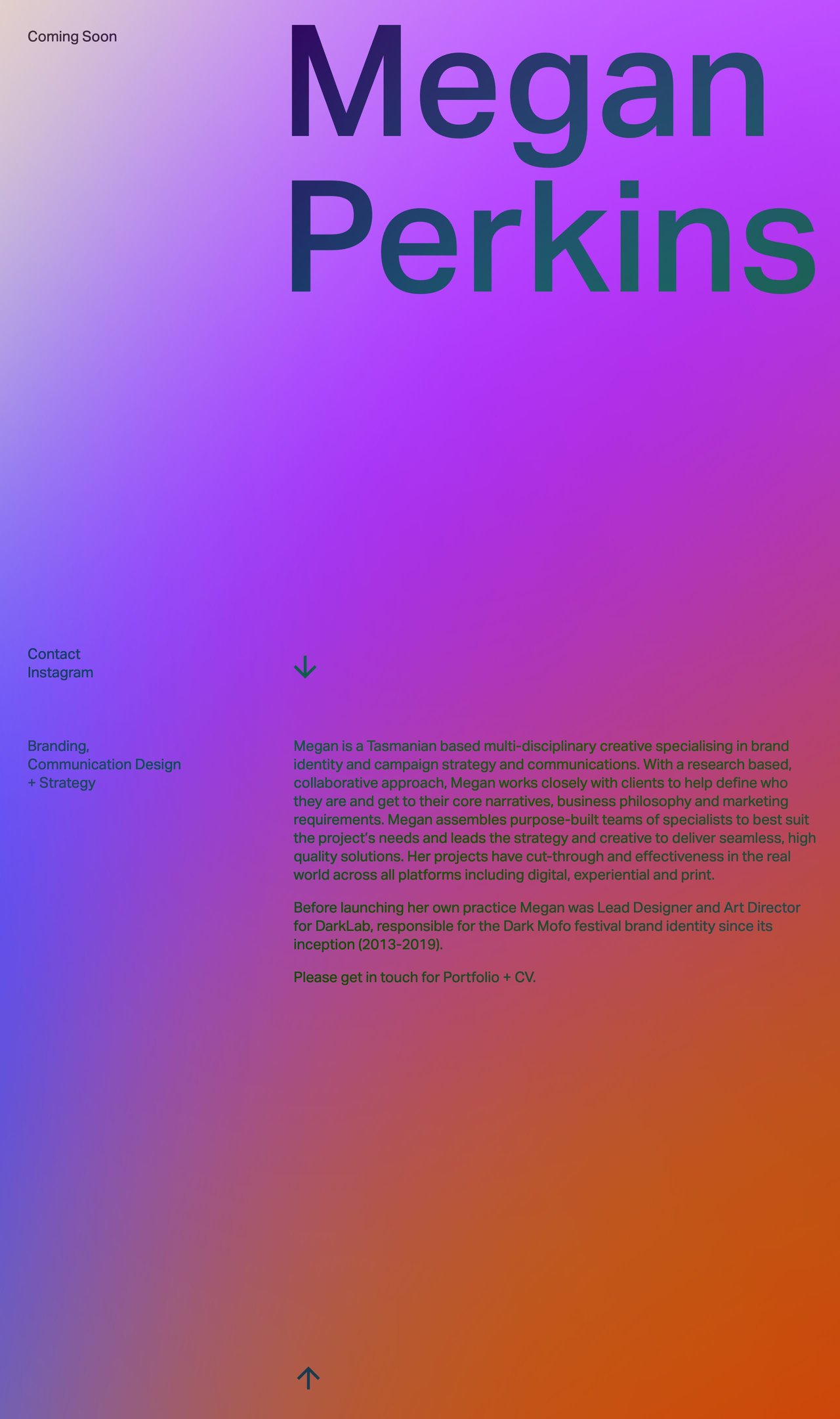 Megan Perkins Website Screenshot