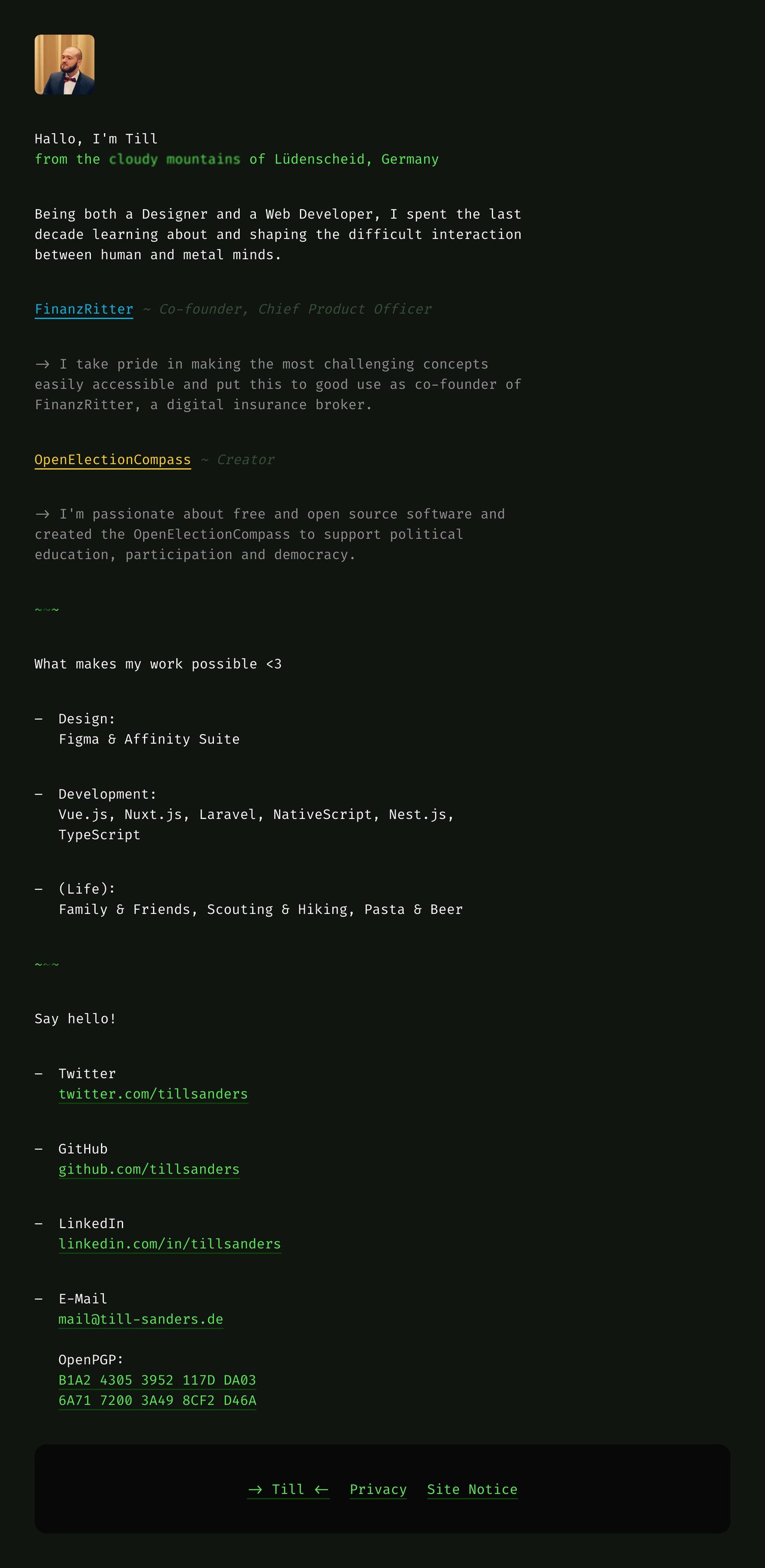 Till Sanders Website Screenshot