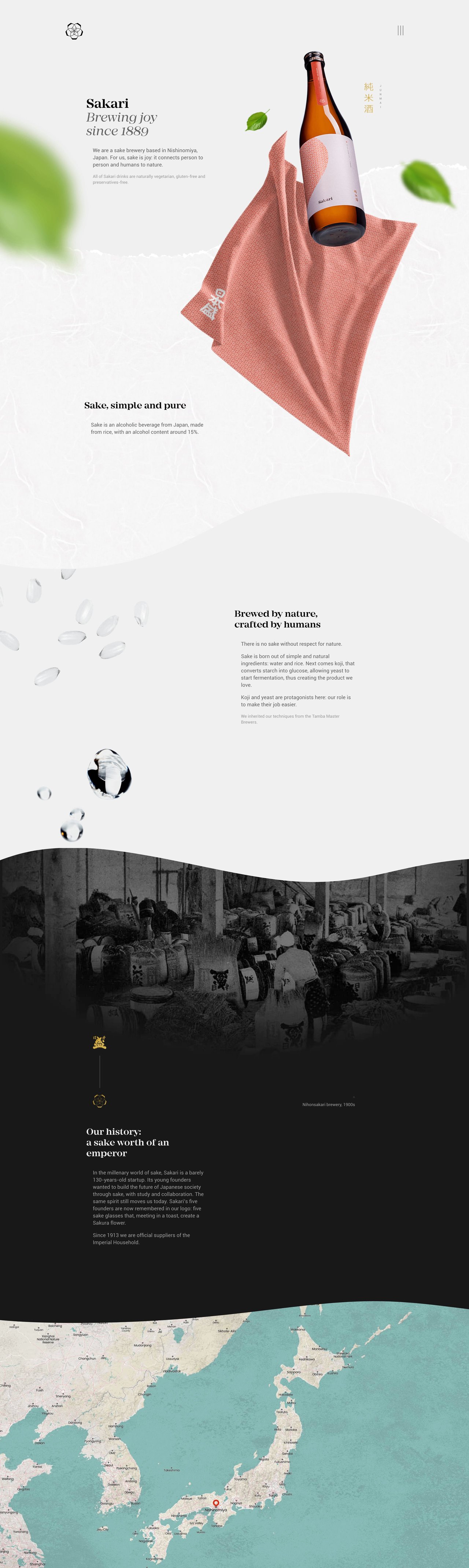 Sakari Website Screenshot