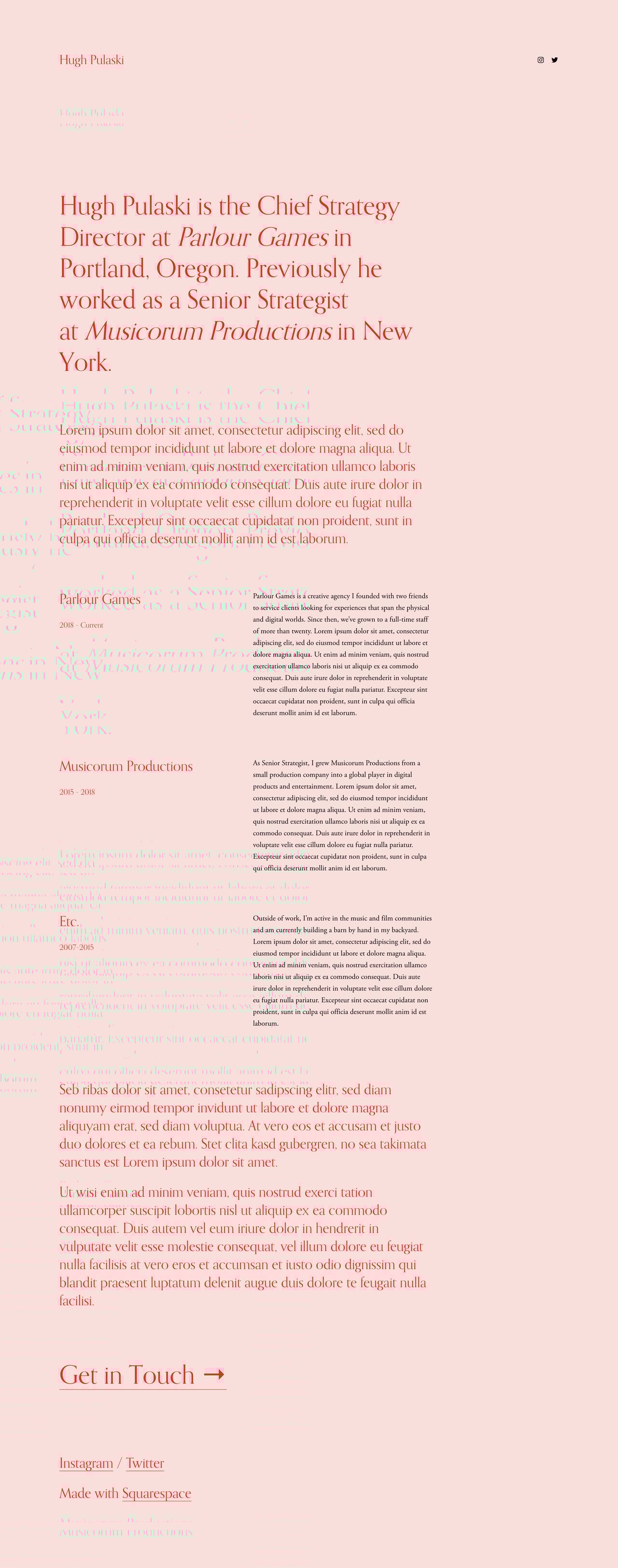 Pulaski Website Screenshot