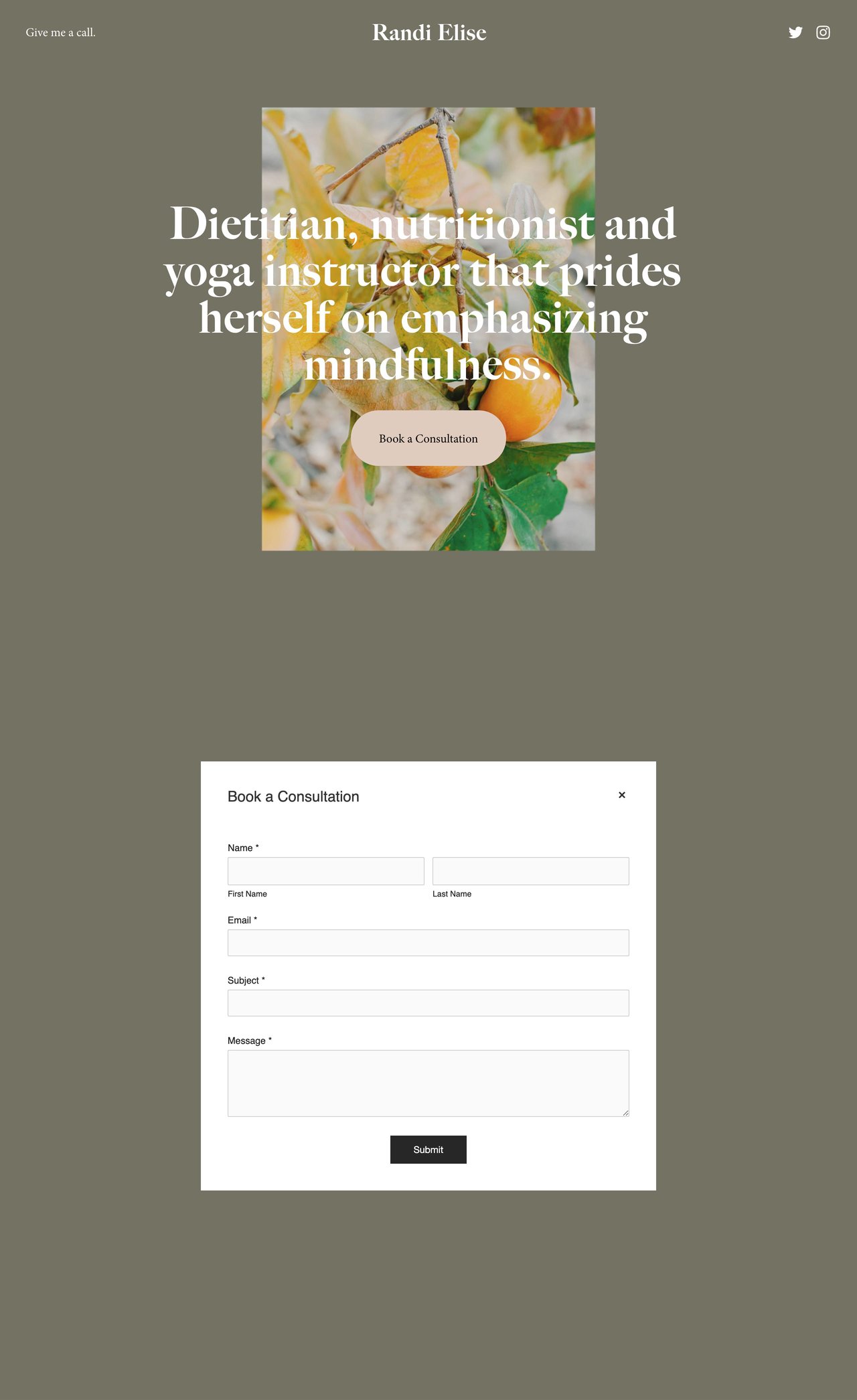 Randi Website Screenshot