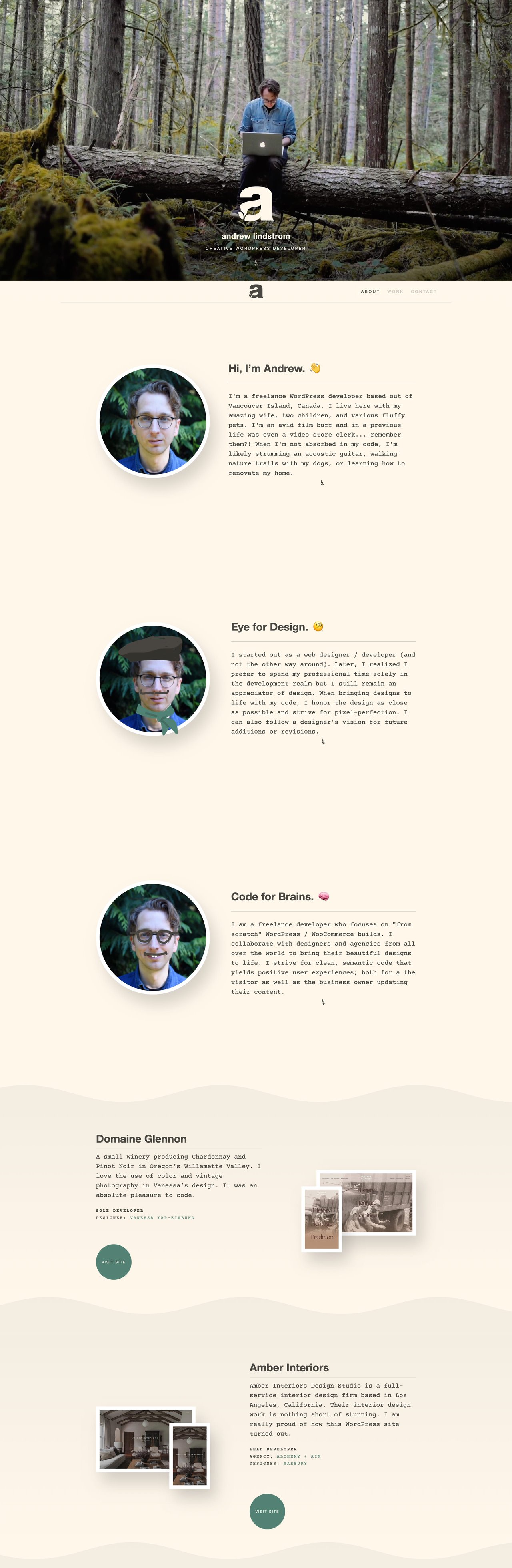 Andrew Lindstrom Website Screenshot