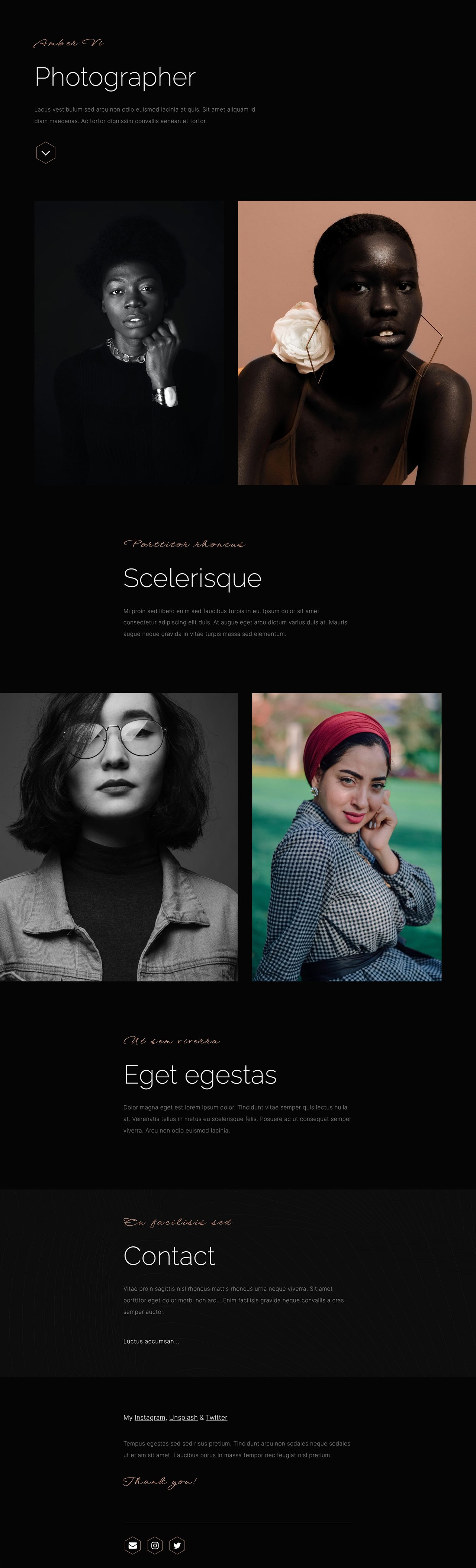 Amber Vi Website Screenshot