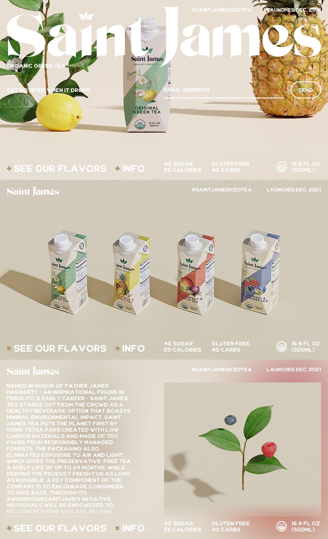 Saint James Website Screenshot