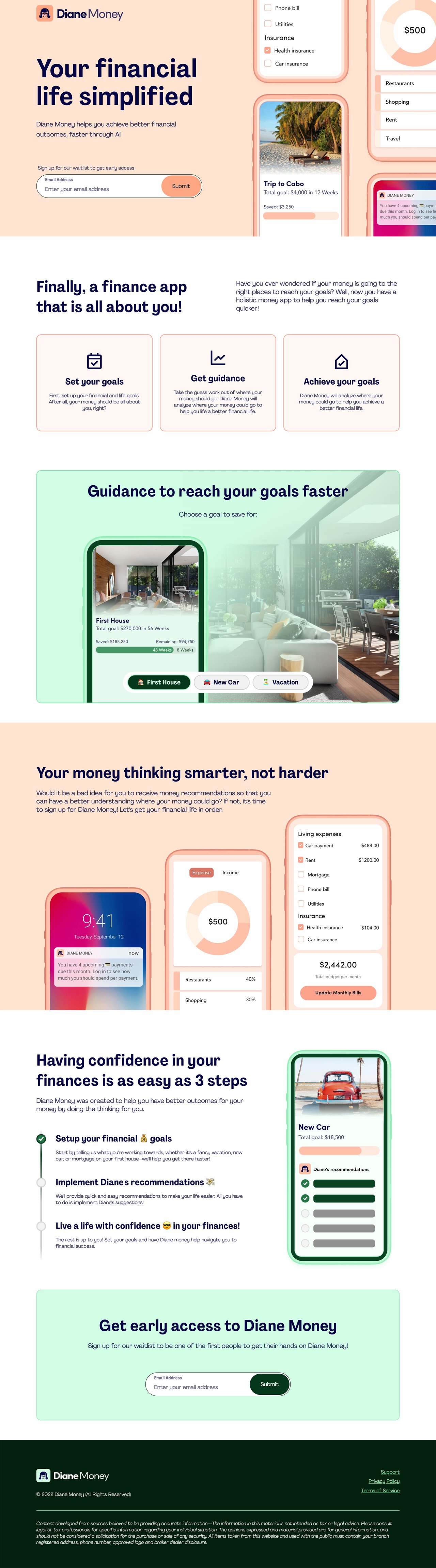 Diane Money Website Screenshot