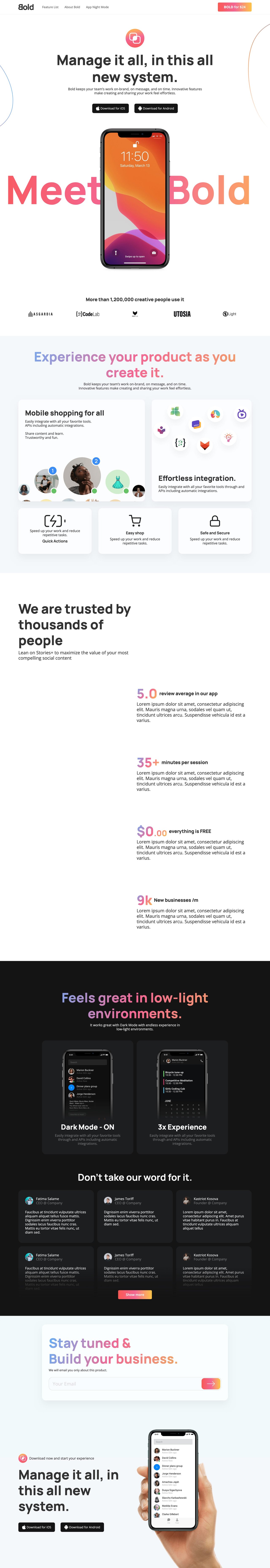 Bold Website Screenshot