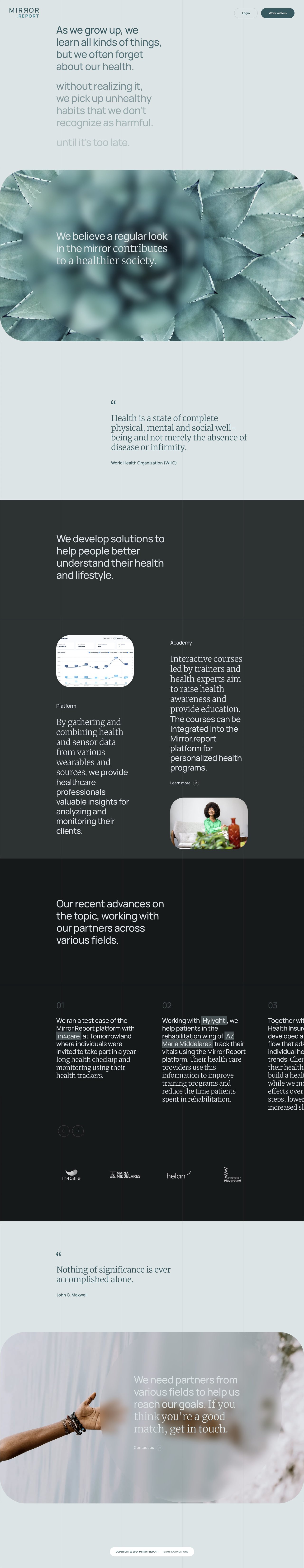 Mirror.Report Website Screenshot