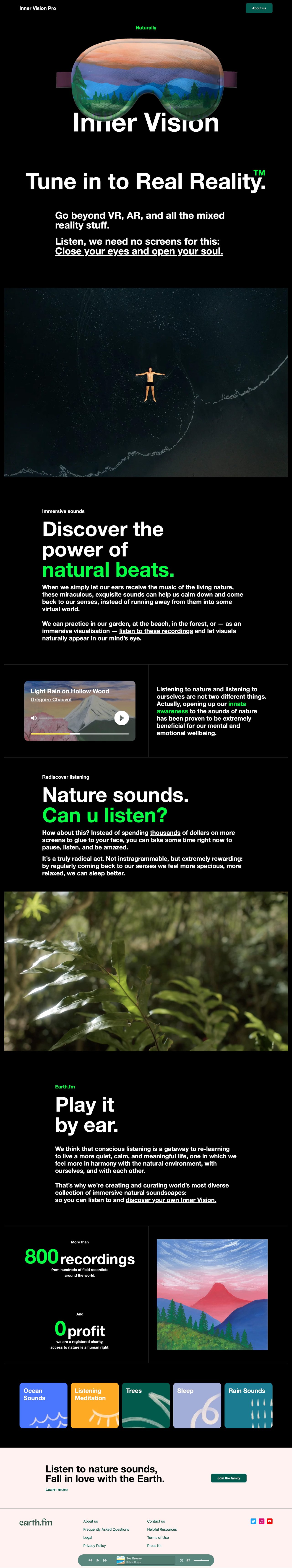 Inner Vision Pro Website Screenshot