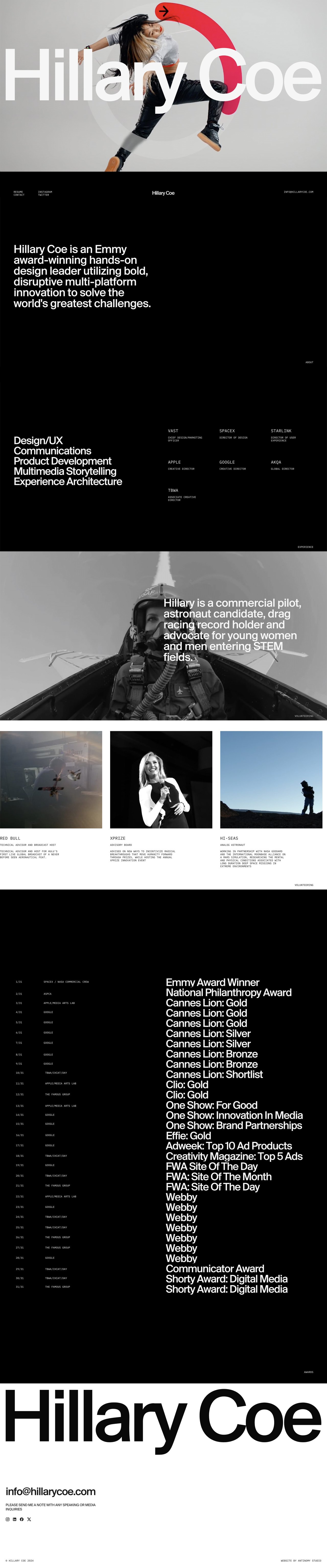 Hillary Coe Website Screenshot