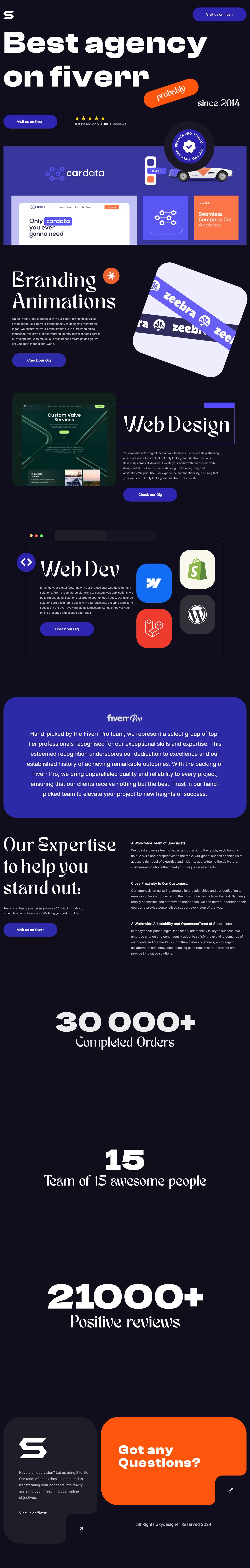 Skydesigner Website Screenshot