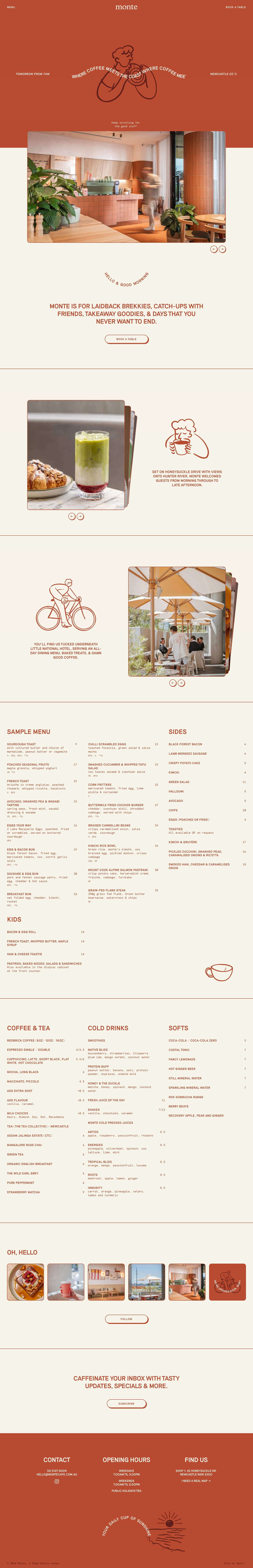 Monte Website Screenshot