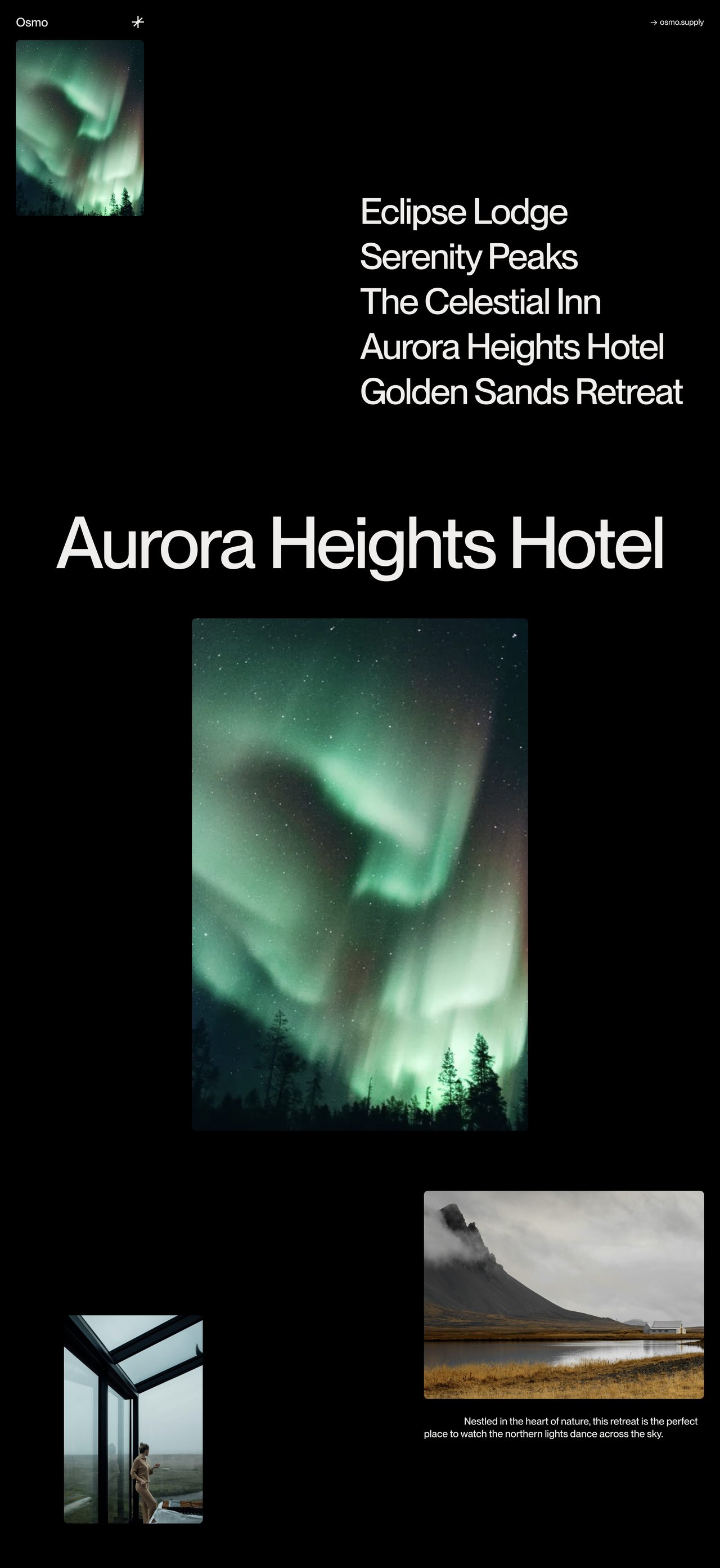 Osmo GSAP Gallery Website Screenshot