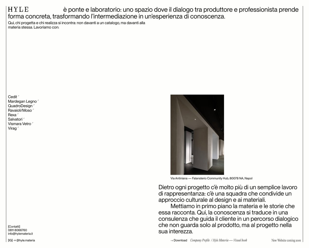 HYLE Website Screenshot