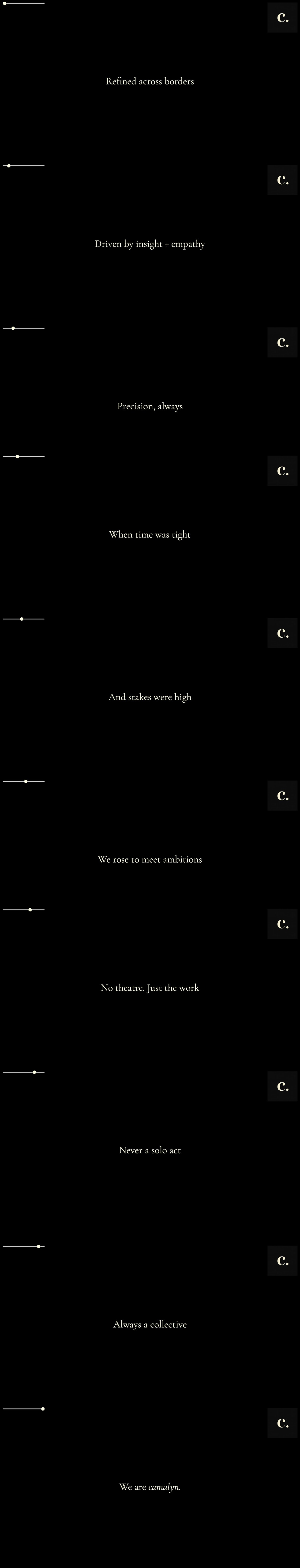 camalyn. Website Screenshot