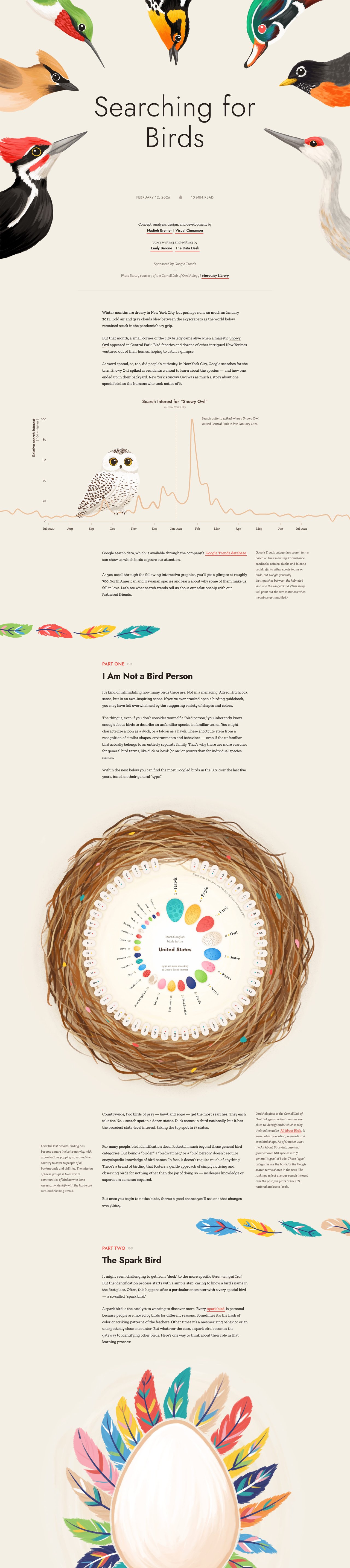 Searching for Birds Website Screenshot