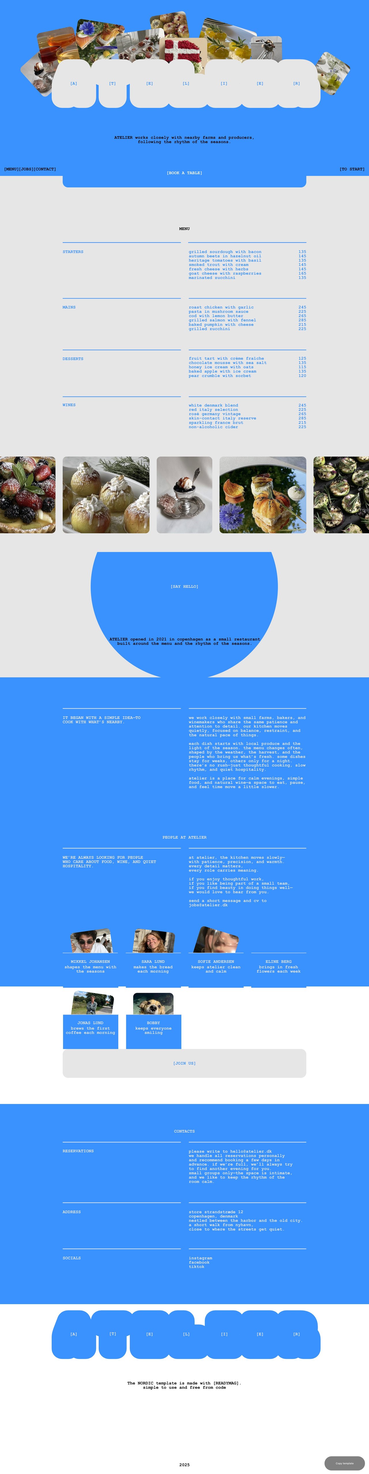 Nordic Website Screenshot