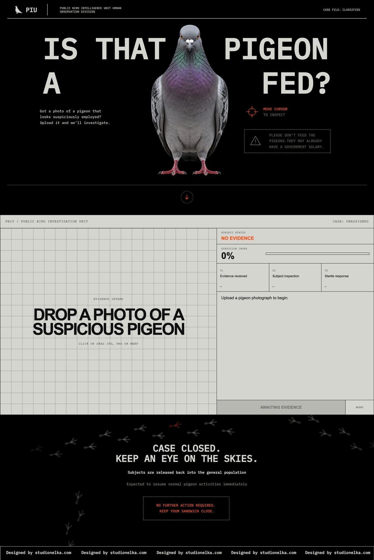 Is That Pigeon a Fed? Website Screenshot