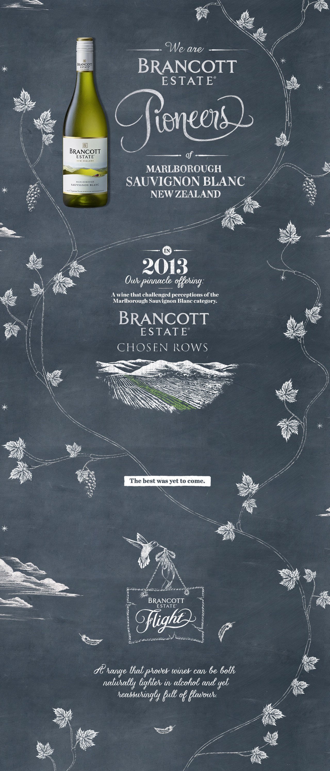 Brancott Estate Pioneers Website Screenshot