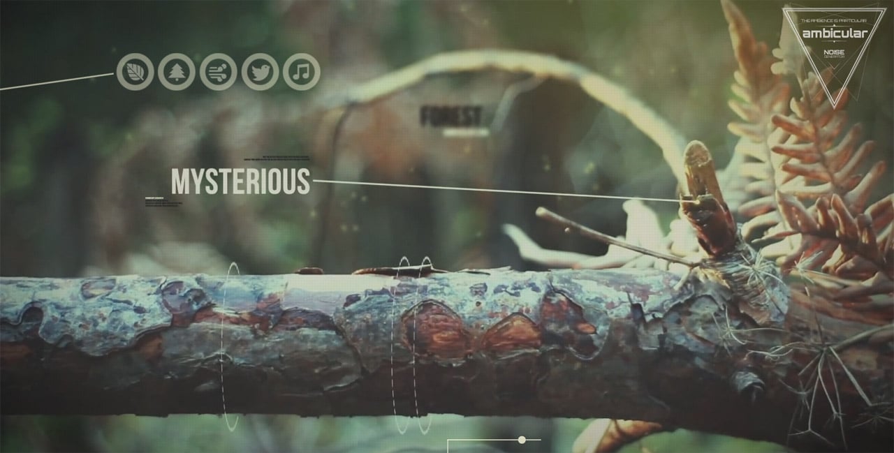 Ambicular Website Screenshot