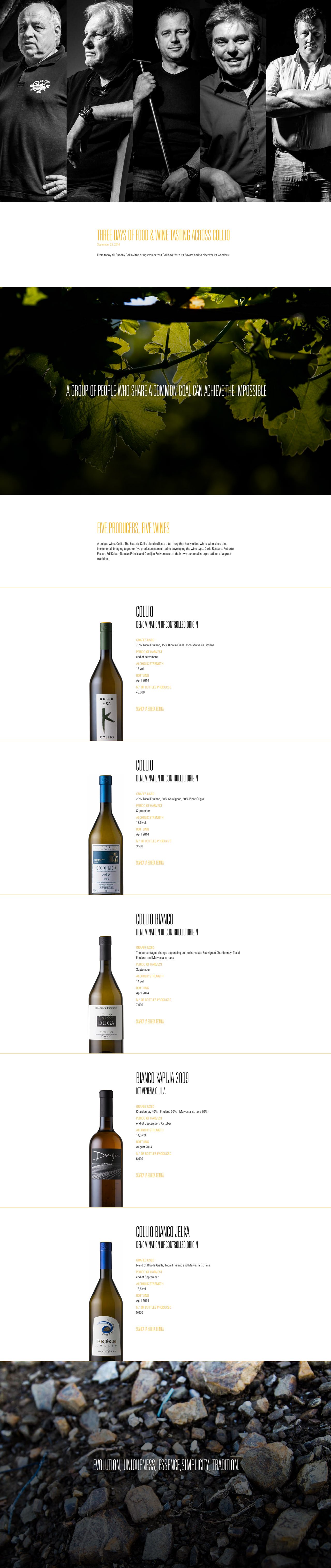 Collio Vitae Website Screenshot