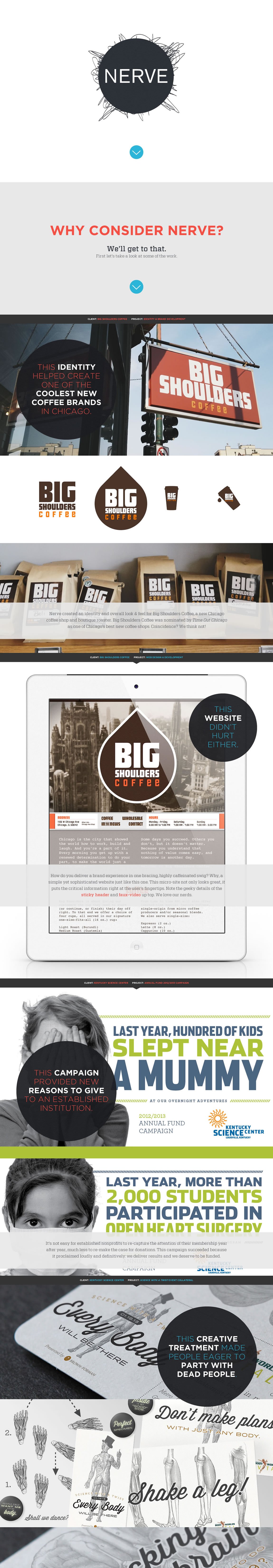 Nerve Collective Website Screenshot