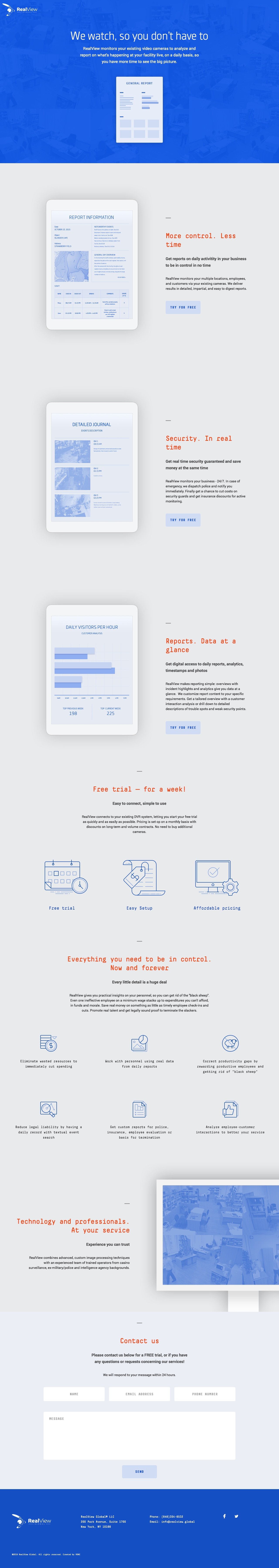 RealView Website Screenshot