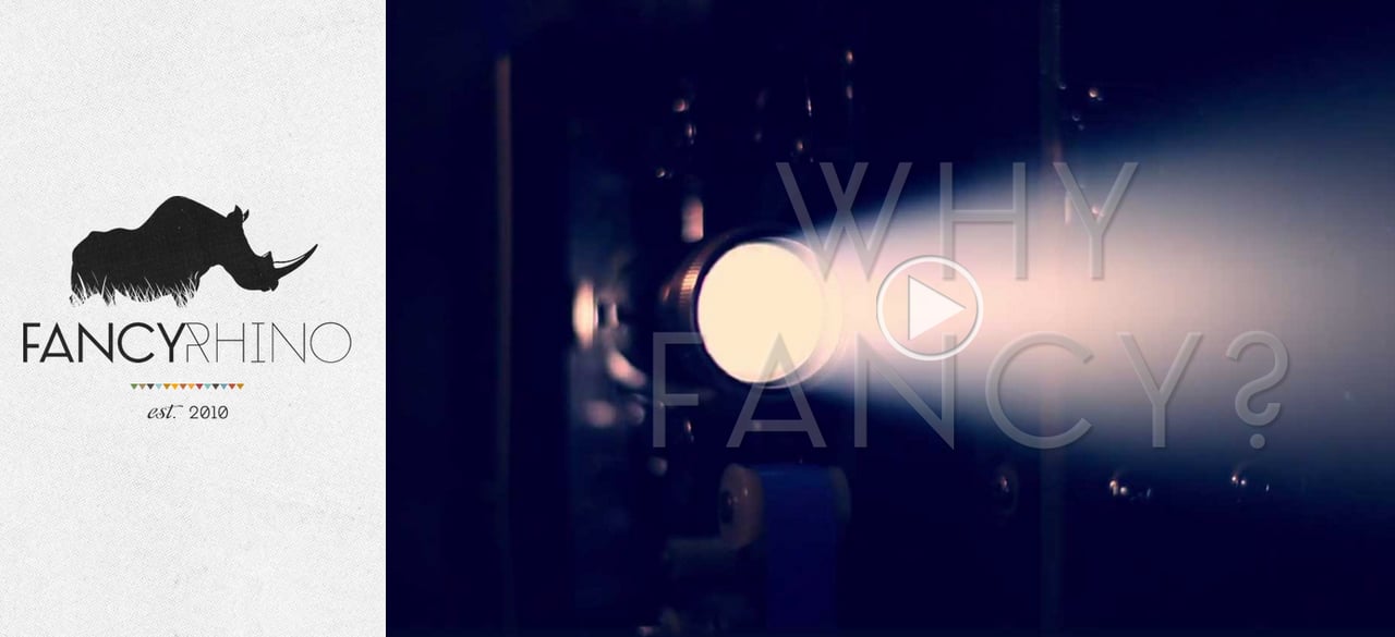 Fancy Rhino Website Screenshot