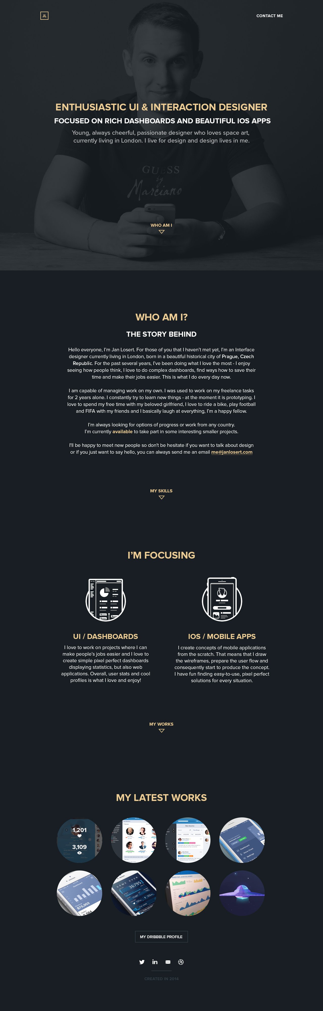 Jan Losert Website Screenshot