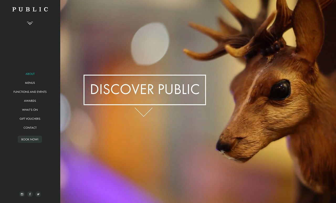 Public Website Screenshot