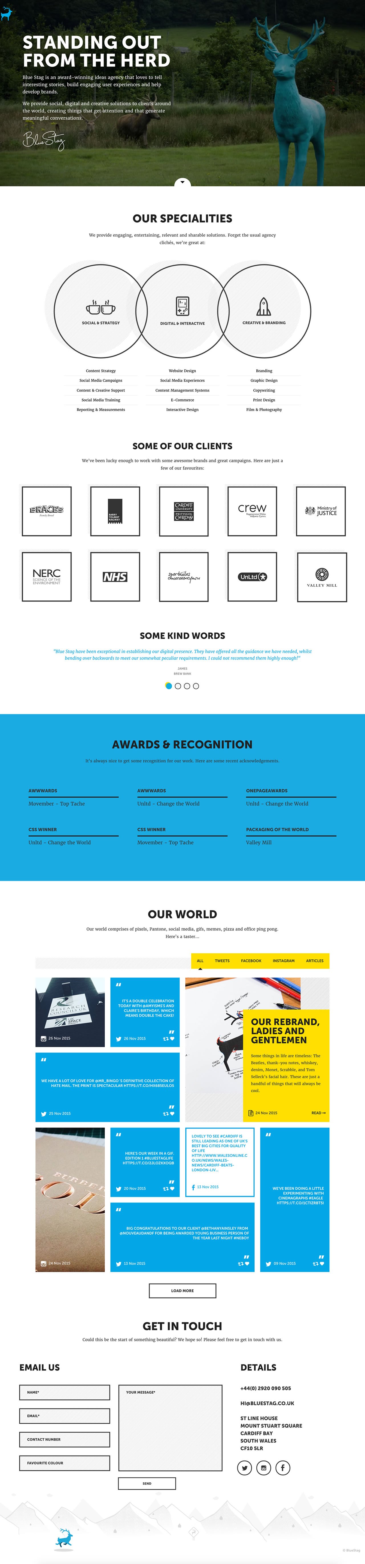 Blue Stag Website Screenshot