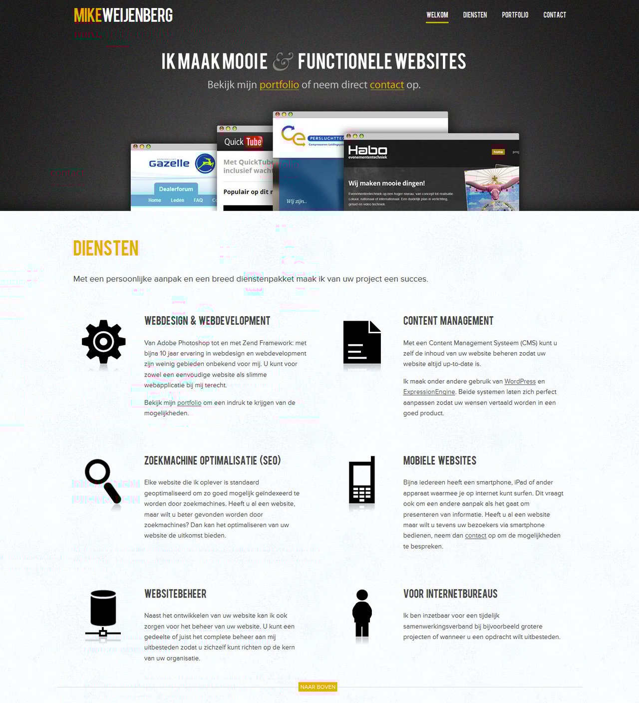 Mike Weijenberg Website Screenshot