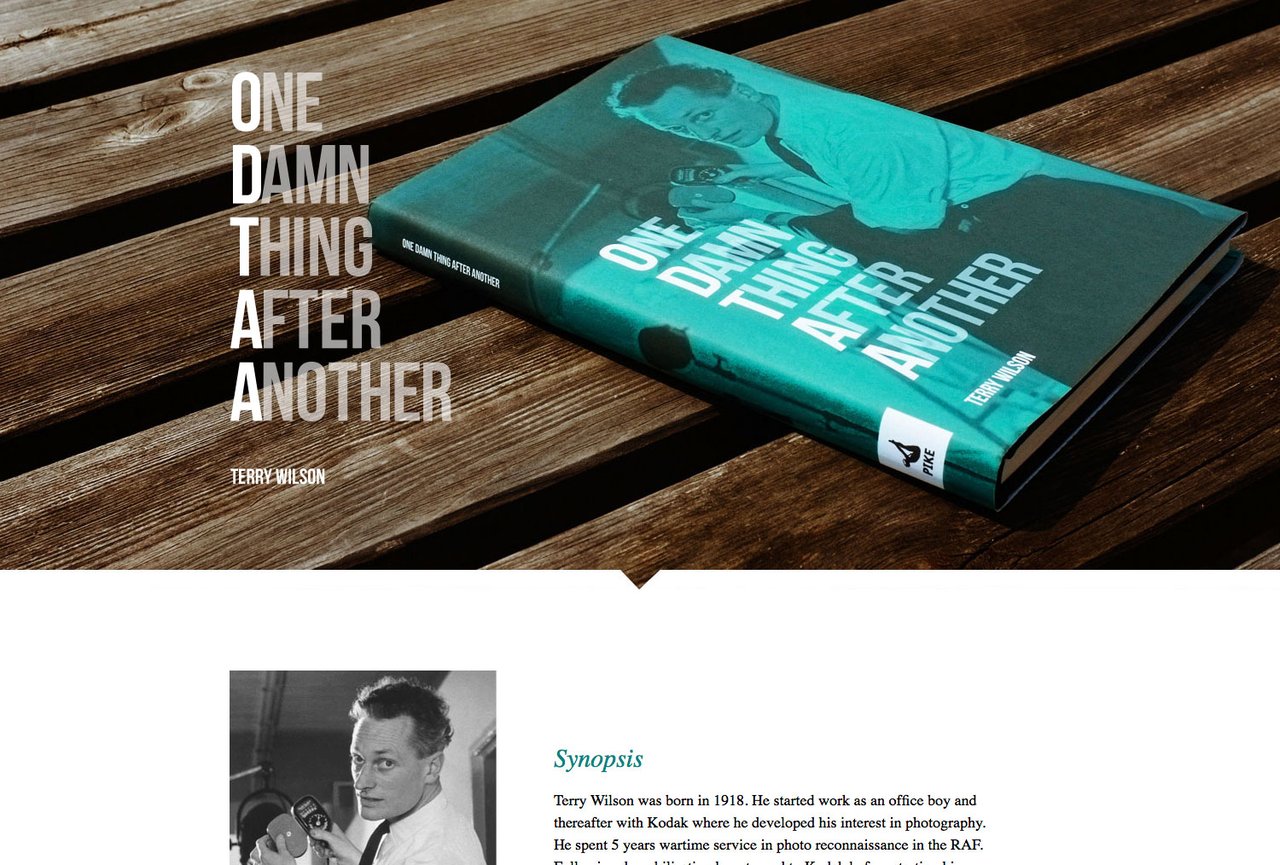 One Damn Thing After Another Website Screenshot