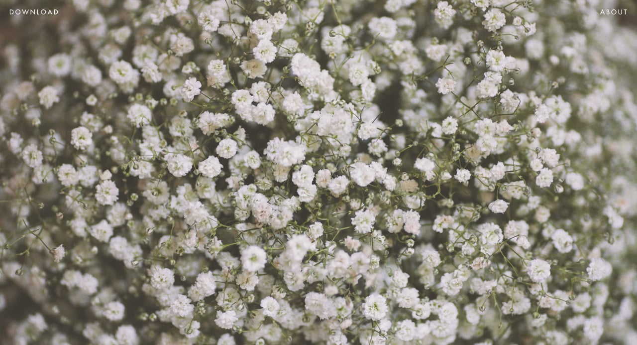 The Desktop Collection Website Screenshot