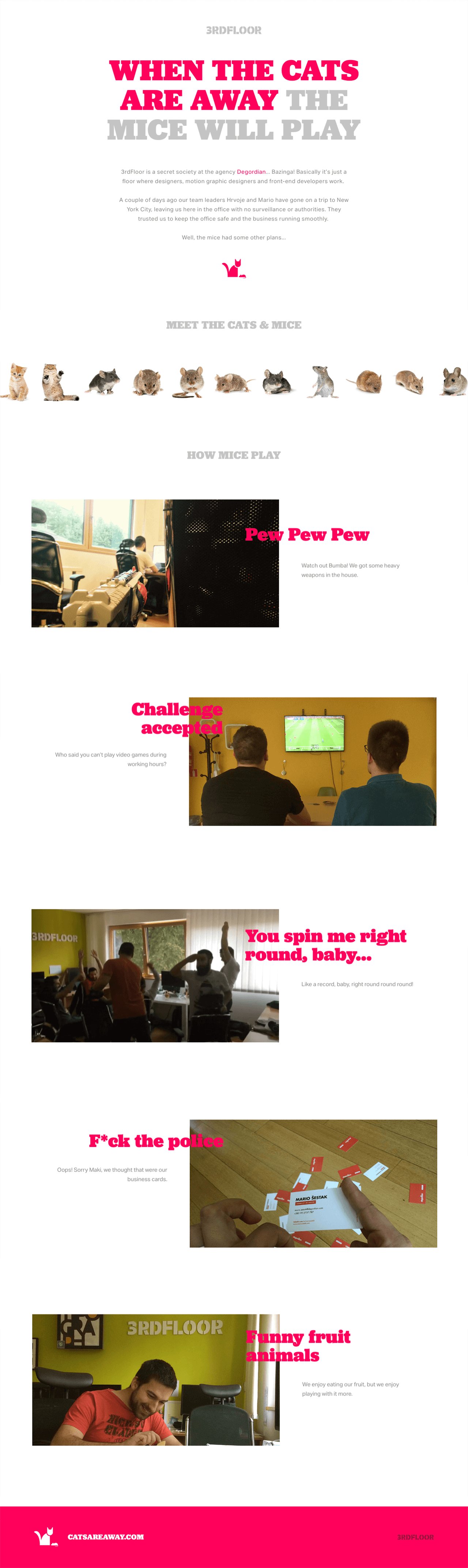 When The Cats Are Away… Website Screenshot