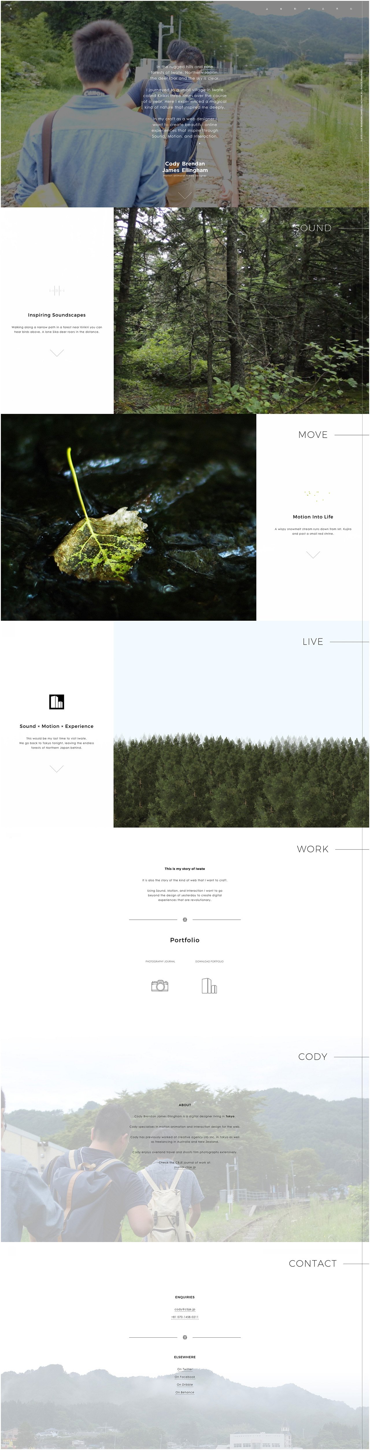 Cody Brendan James Ellingham Website Screenshot