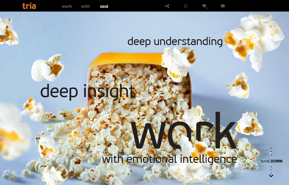 Tria Website Screenshot