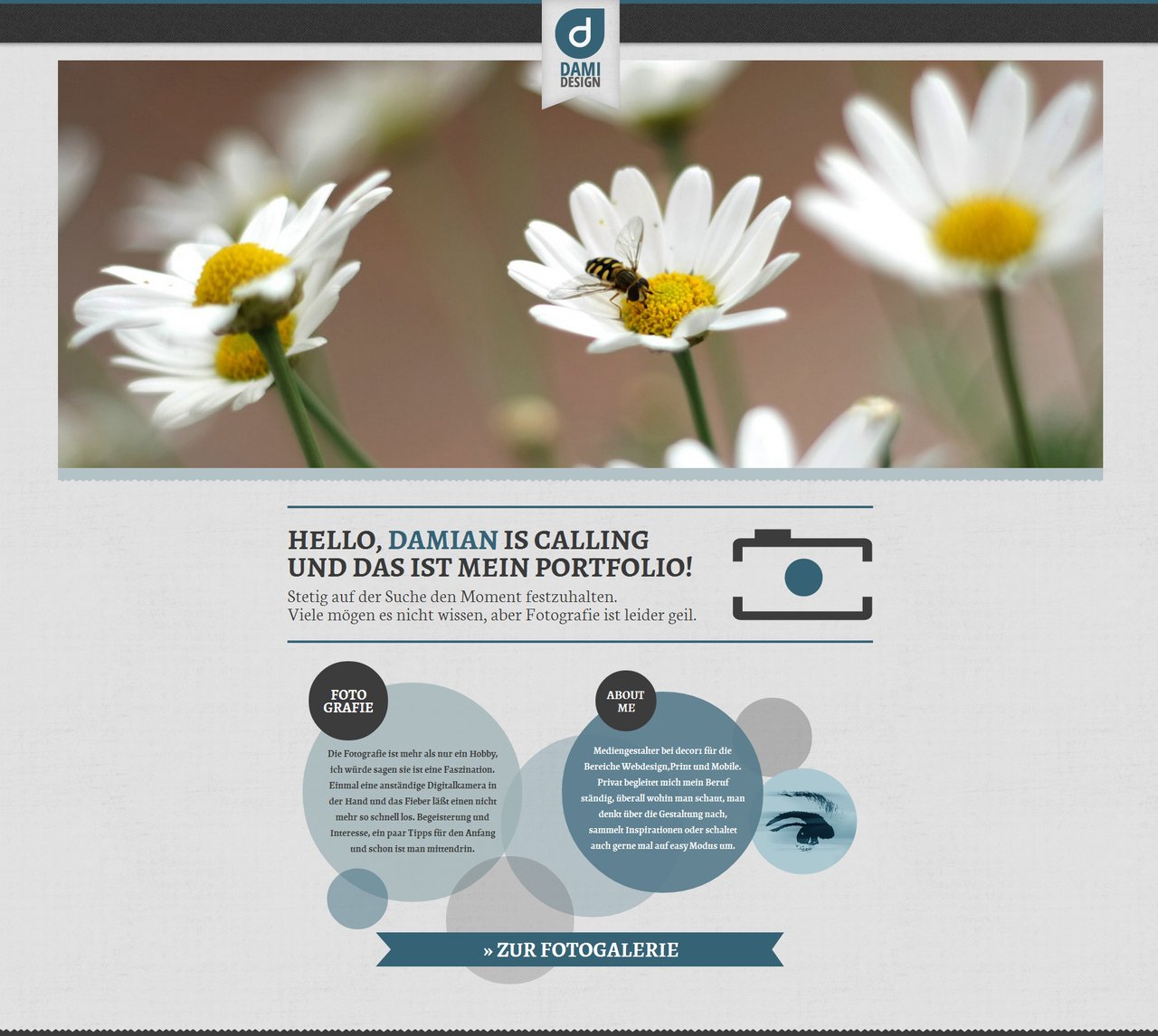 damidesign Website Screenshot