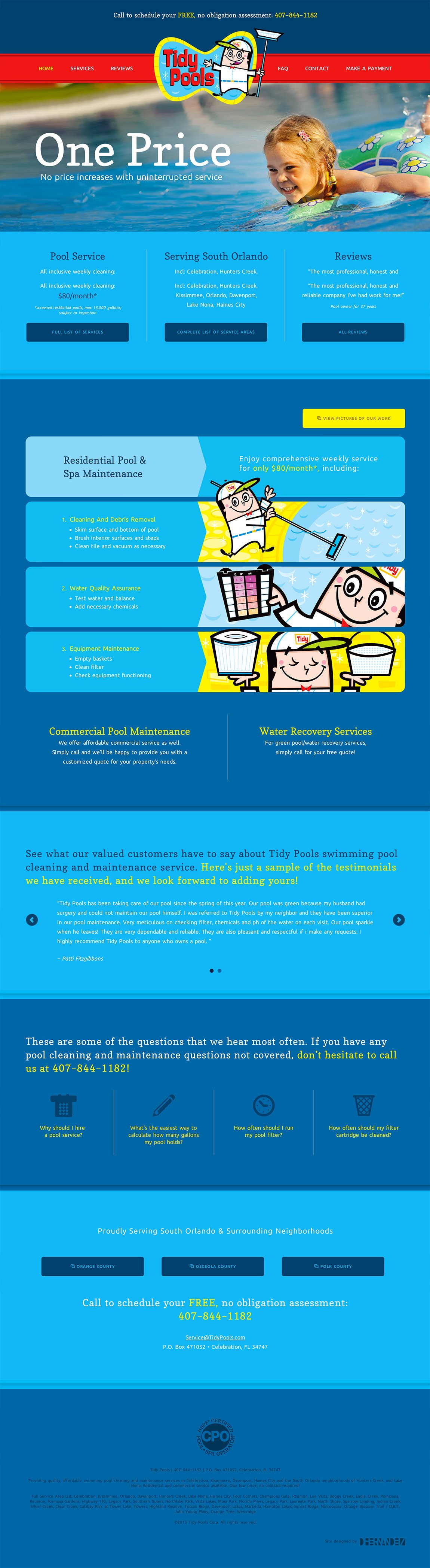 Tidy Pools Website Screenshot