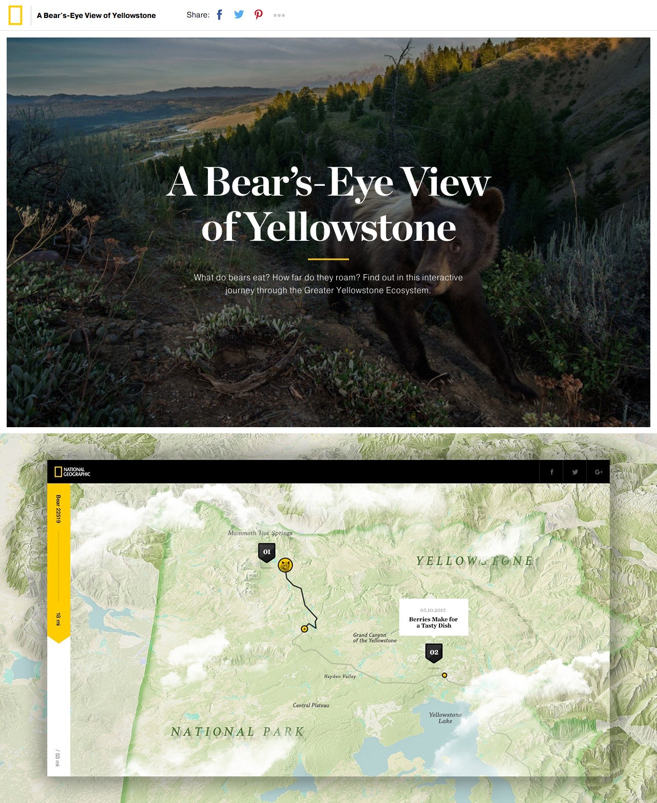 A Bearβs-Eye View of Yellowstone Website Screenshot