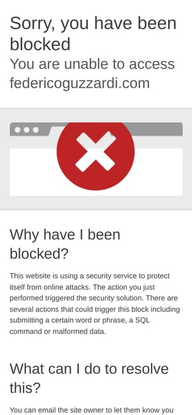 Federico Guzzardi Mobile Preview