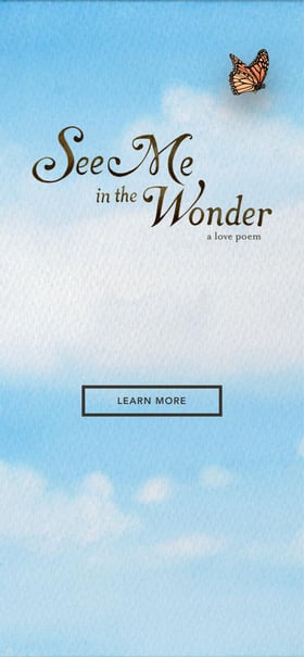 See Me in the Wonder Mobile Preview