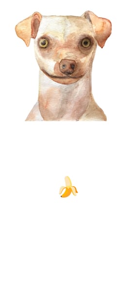 Bones Mobile Preview