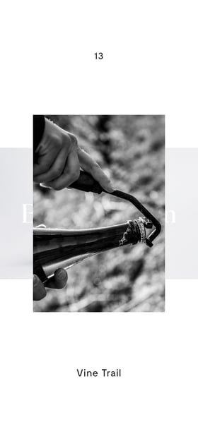 Gunter Piekarski Mobile Preview