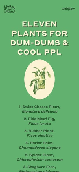 Eleven Plants for Dum-Dums & Cool Ppl Mobile Preview