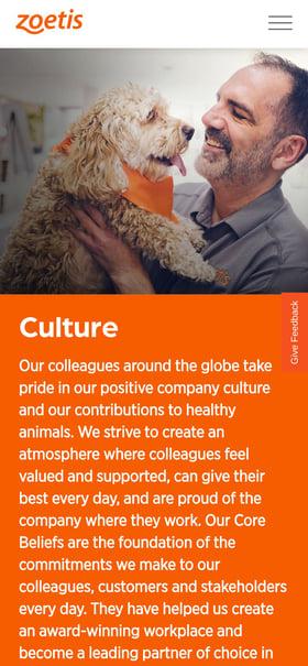 adivo Mobile Preview