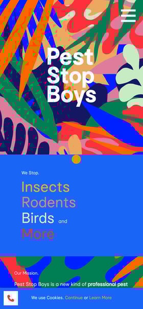 Pest Stop Boys Mobile Preview