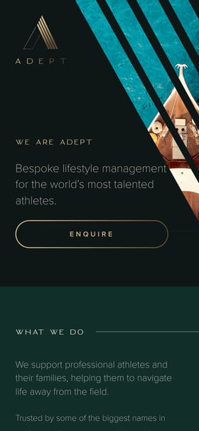 The Adept Group Mobile Preview