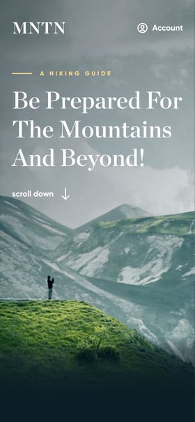 MNTN Mobile Preview