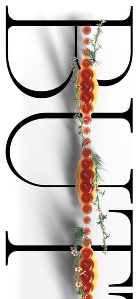 Butt Studio Mobile Preview